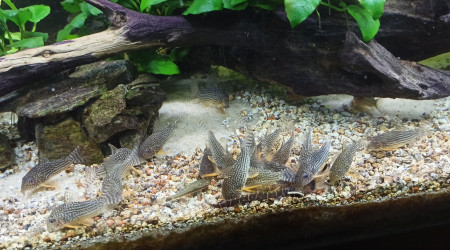 L'heure du casse-croûte