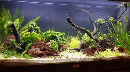 C'est pas encore parfait mais ça va mieux :)