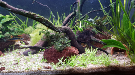 C'est pas encore parfait mais ça va mieux :)