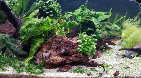 C'est pas encore parfait mais ça va mieux :)