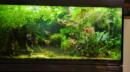 aquarium Aquarium 400Litre