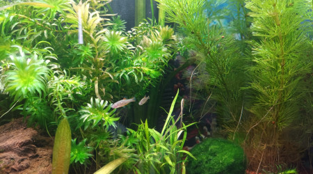 les locataires ont pris leurs marques