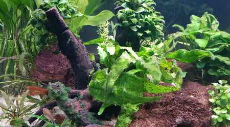 Après entretien du 04/12