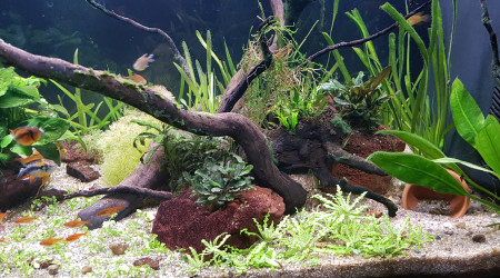 Après entretien du 04/12