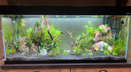 A un mois du lancement