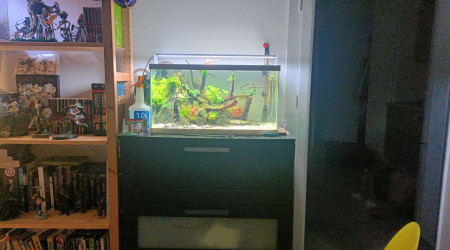 Aquarium en Décembre !!