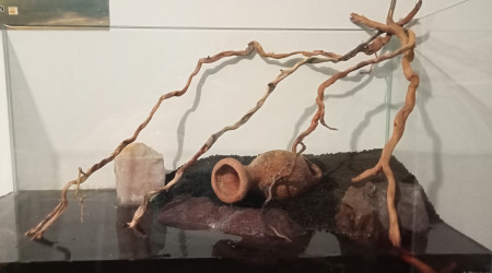 Mise en place du hard scape