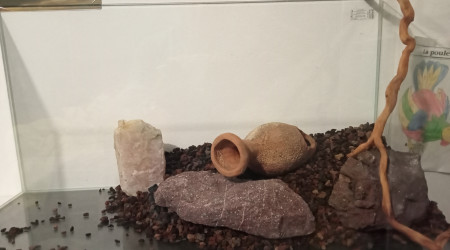 Mise en place du hard scape