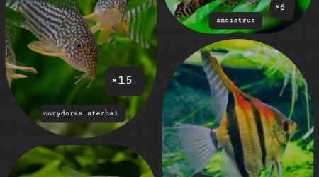 Les futurs habitants