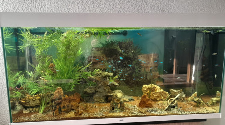 aquarium Aquarium de 250