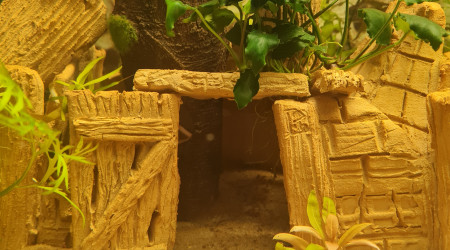 Satisfait du substrat