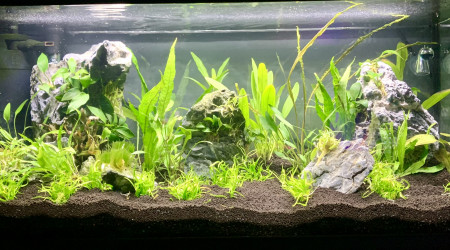 aquarium 80 L Maison