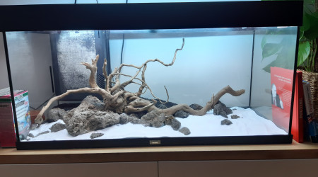 Aquascape en cours!!