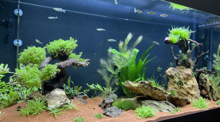 aquarium Juwel 180