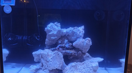 aquarium Nano reef