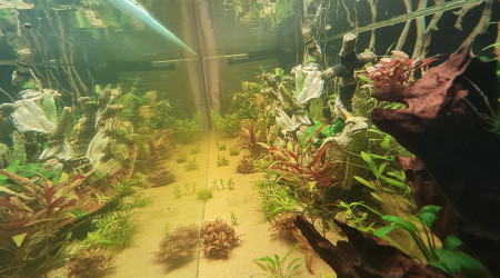 Ça pousse ça pousse