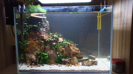 Nouveau scape un peu plus travaillé