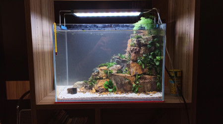 Nouveau scape un peu plus travaillé