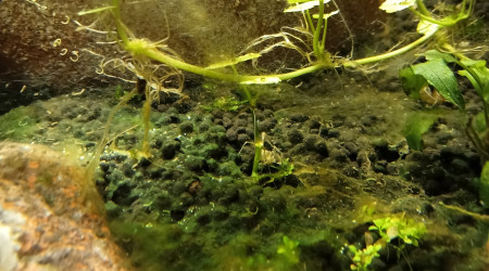 Difficile à démarrer avec cette cuve