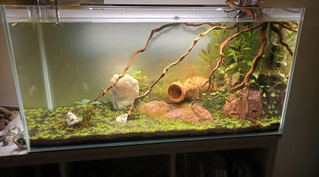 Difficile à démarrer avec cette cuve