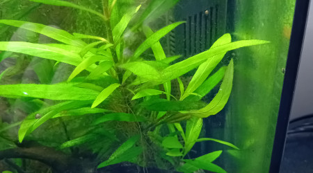 le petit bout repart