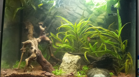 Changement de lumiere