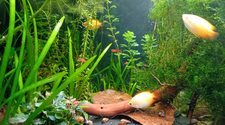 Passage au fond noir