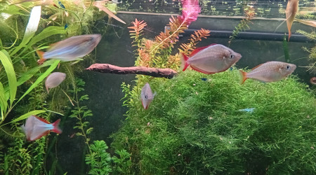 Passage au fond noir