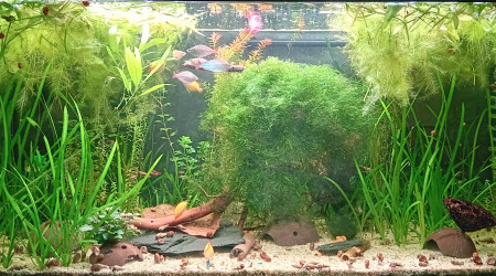 Passage au fond noir