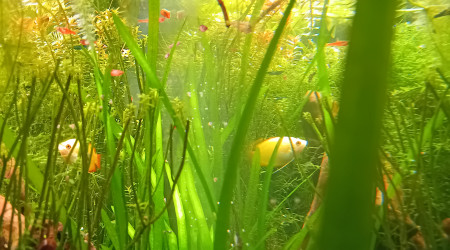 Passage au fond noir