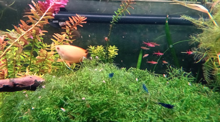 Passage au fond noir