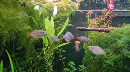 Passage au fond noir