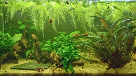 Passage au fond noir 2