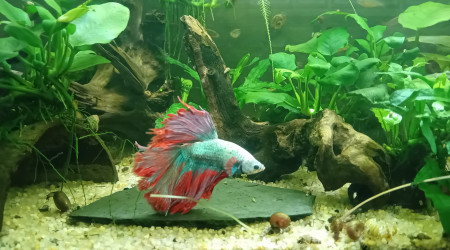 Passage au fond noir 2