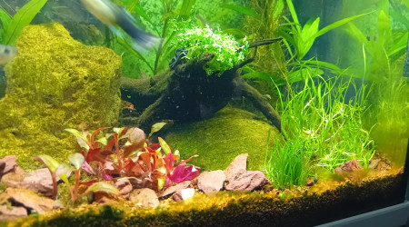 In vitro, pas facile a installer