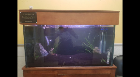 aquarium le bac de Ben école 200L