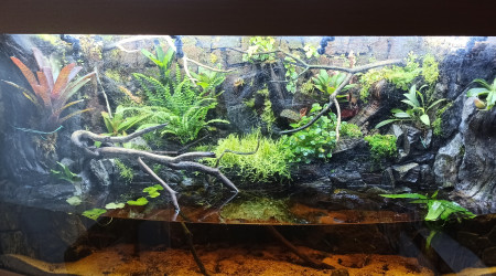 aquarium Bac 300L Léo