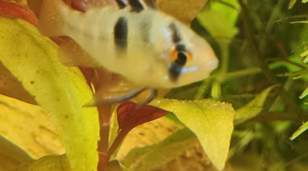 Retour de la bourse 91