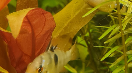 Retour de la bourse 91