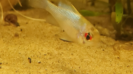 Retour de la bourse 91