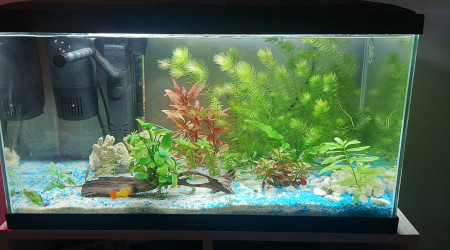 aquarium Ciano led 60l