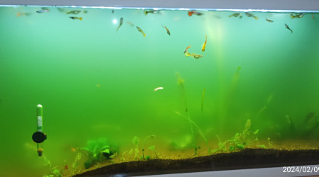 après un passage médicamenteux