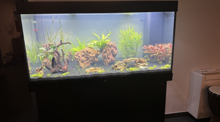 aquarium Rio 350 litres