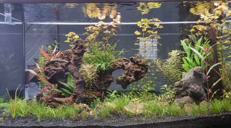 aquarium proxima250 eheim