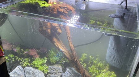 aquarium Nouveau 30L