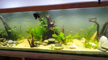 Quand la nature reprend ses droits