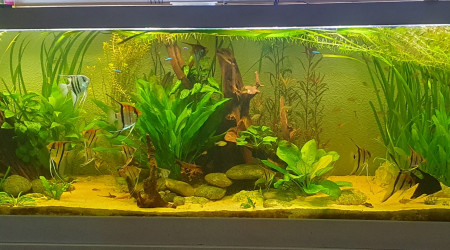 Quand la nature reprend ses droits