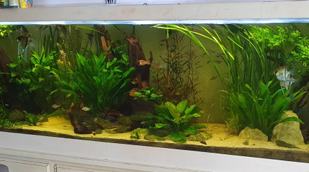 Quand la nature reprend ses droits