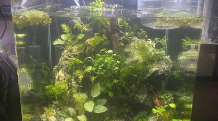 aquarium 30l