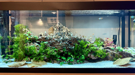 Le commencement, la suite